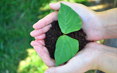 拉斯维加斯9888(中国)官方网站