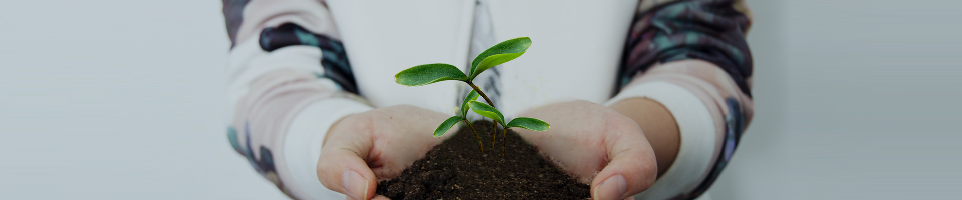 关于拉斯维加斯9888